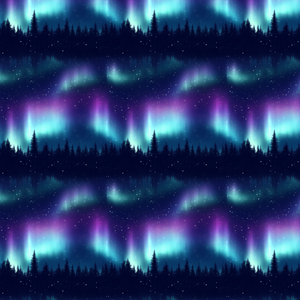 Vorbestellung Nordlichter Kombi *Sweat*