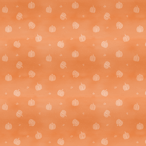 Pumpkin Kombi *Sweat*